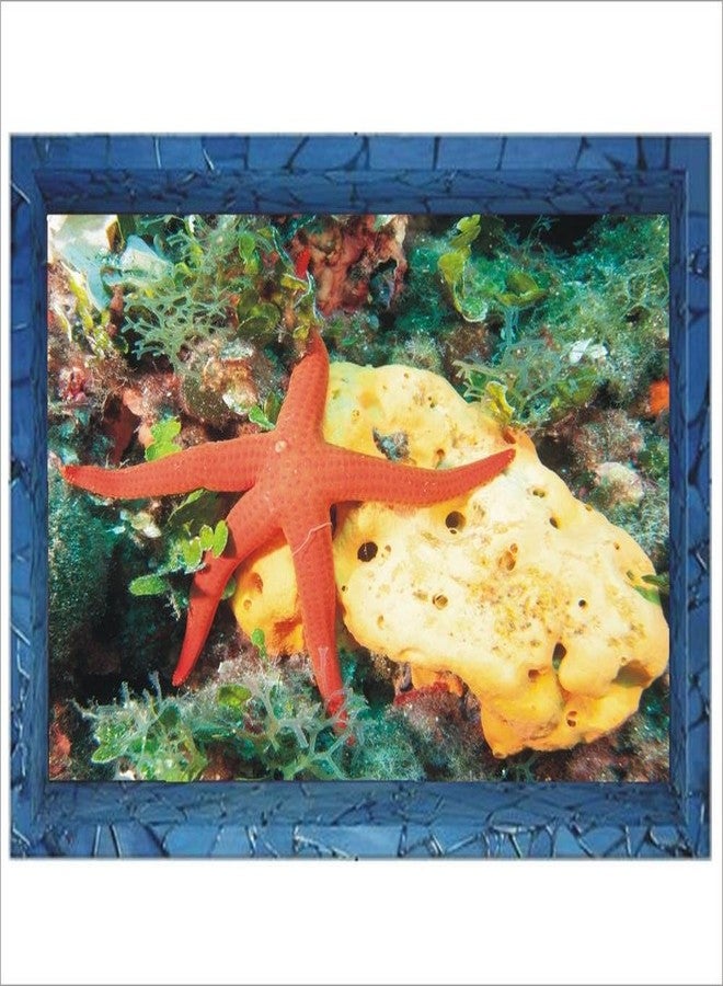 Jump up Star Fish On The Sea Level in The Tank, Floor Sticker, 3D, Peel and Stick, PVC Vinyl, Easy to use, Multicolor, Size 75 cm X 45 cm, Pack of 1, Brand Jump up - Image 1